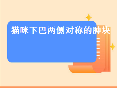 猫咪下巴两侧对称的肿块（猫咪下巴两侧对称的肿块摸着光滑的是什么病）