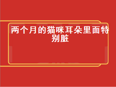 两个月的猫咪耳朵里面特别脏（两个月的猫咪耳朵里面特别脏怎么办）