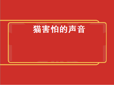 猫害怕的声音（猫害怕的声音播放）