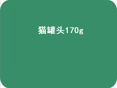 猫罐头170g（猫罐头170g和85g的区别）