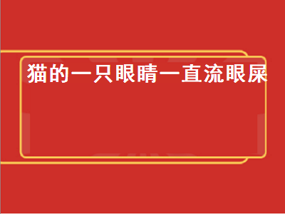 猫的一只眼睛一直流眼屎（猫的一只眼睛一直流眼屎怎么办）