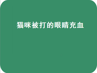 猫咪被打的眼睛充血（猫咪被打的眼睛充血买什么眼药水）