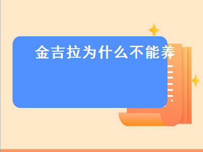 金吉拉为什么不能养（金吉拉为什么不能养了）