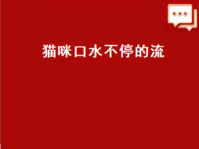 猫咪口水不停的流（猫咪口水不停的流是怎么回事）