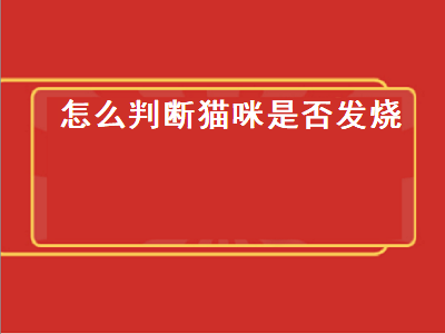 怎么判断猫咪是否发烧（怎么判断猫咪是否发烧了）