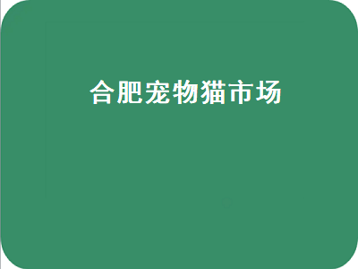 合肥宠物猫市场（合肥宠物猫市场在哪个地方）