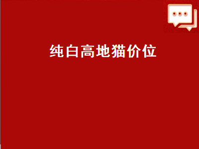 纯白高地猫价位（纯白高地猫价位一般在多少）