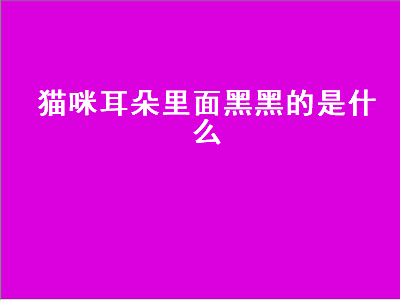 猫咪耳朵里面黑黑的是什么（猫咪耳朵里面黑黑的是什么东西）