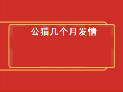 公猫几个月发情（公猫几个月做绝育最好）