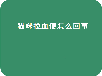 猫咪拉血便怎么回事（猫咪拉血便怎么回事,精神好）