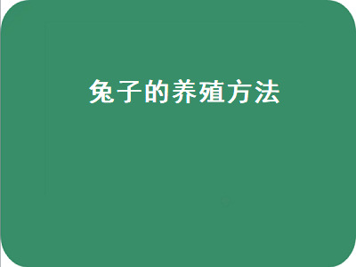 兔子的养殖方法（兔子的养殖方法的视频）