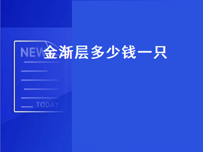 金渐层多少钱一只（金渐层多少钱一只幼崽）