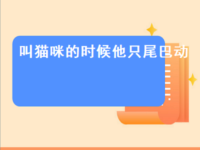 叫猫咪的时候他只尾巴动（叫猫咪的时候他只尾巴动一下）