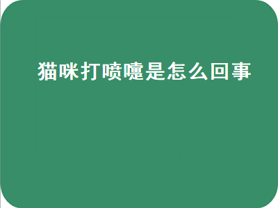 猫咪打喷嚏是怎么回事（猫咪打喷嚏是怎么回事不流鼻涕）