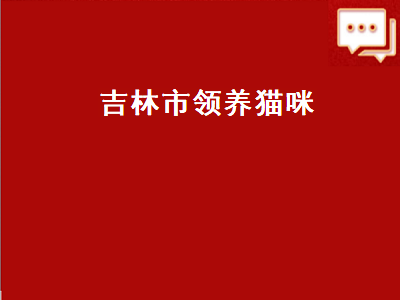 吉林市领养猫咪（吉林市领养猫咪的地方）