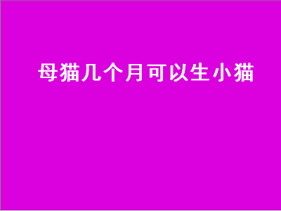 母猫几个月可以生小猫（母猫几个月可以生小猫最好）