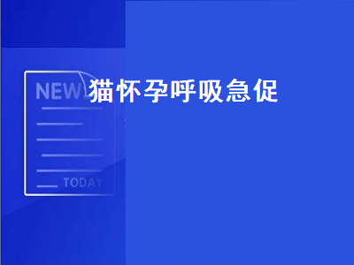 猫怀孕呼吸急促（猫怀孕呼吸急促腹部起伏快正常吗）