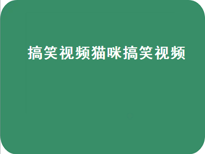 搞笑视频猫咪搞笑视频（搞笑视频猫咪搞笑视频大全）