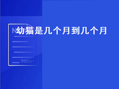 幼猫是几个月到几个月（幼猫是几个月到几个月换猫粮）