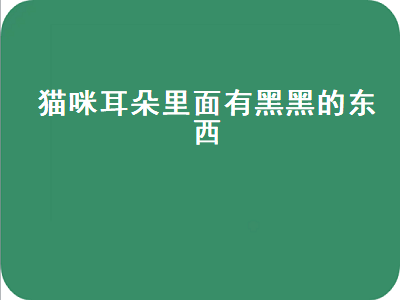 猫咪耳朵里面有黑黑的东西（猫咪耳朵里面有黑黑的东西是什么）