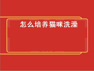 怎么培养猫咪洗澡（怎么培养猫咪洗澡技巧）