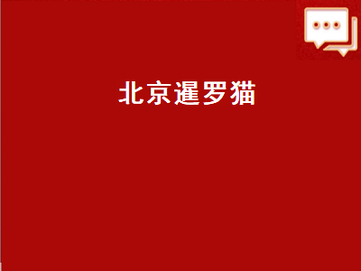 北京暹罗猫（北京暹罗猫舍）