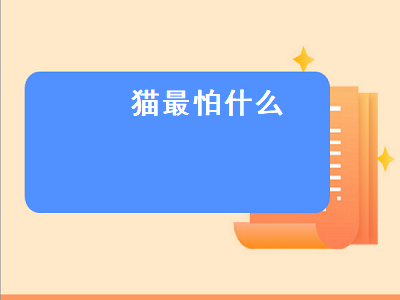 猫最怕什么（猫最怕什么动物）