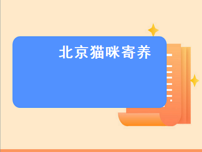 北京猫咪寄养（北京猫咪寄养多少钱一天）