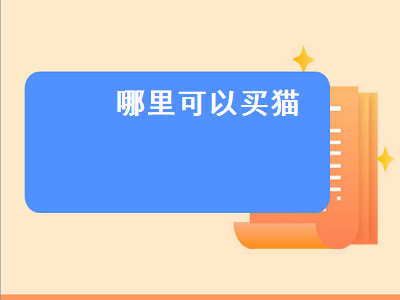 哪里可以买猫（哪里可以买猫咪活体）