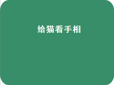 给猫看手相（给猫看手相视频）