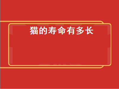 猫的寿命有多长（猫的寿命有多长时间）