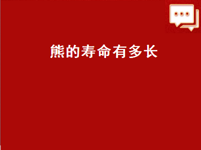 熊的寿命有多长（松鼠的寿命有多长）