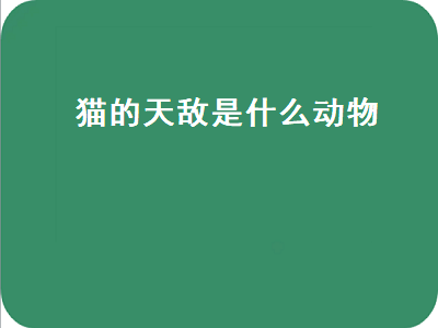 猫的天敌是什么动物（猫的天敌是什么动物 怕什么）