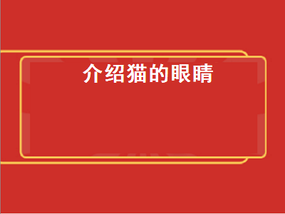 介绍猫的眼睛（介绍猫的眼睛说明文）