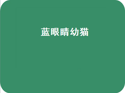 蓝眼睛幼猫（蓝眼睛幼猫也能看出眼睛颜色）