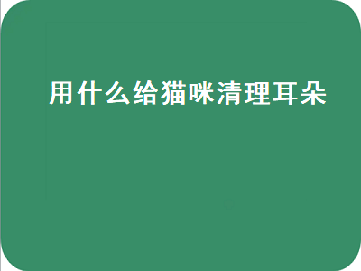 用什么给猫咪清理耳朵（用什么给猫咪清理耳朵最好）