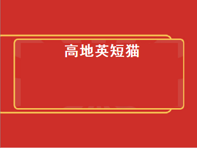 高地英短猫（高地英短猫是什么品种）