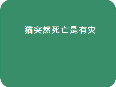 猫突然死亡是有灾（猫突然死亡是有灾还是有福）