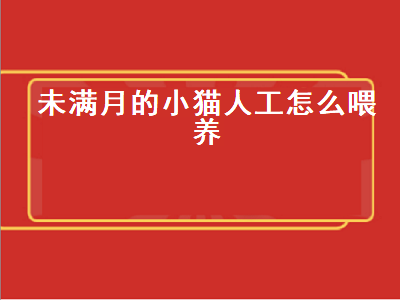 未满月的小猫人工怎么喂养（未满月的小猫人工怎么喂养好）