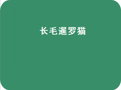 长毛暹罗猫（长毛暹罗猫价格多少）