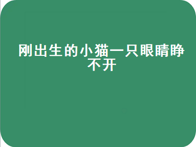 刚出生的小猫一只眼睛睁不开（刚出生的小猫一只眼睛睁不开是怎么回事）