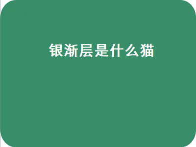 银渐层是什么猫（银渐层是什么猫培育出来的）