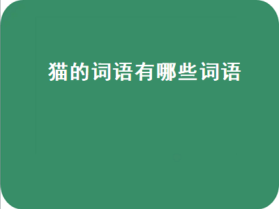 猫的词语有哪些词语（猫的词语有哪些词语四个字）