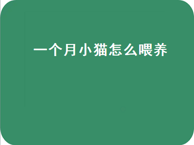 一个月小猫怎么喂养（一个月小猫怎么喂养比较好）