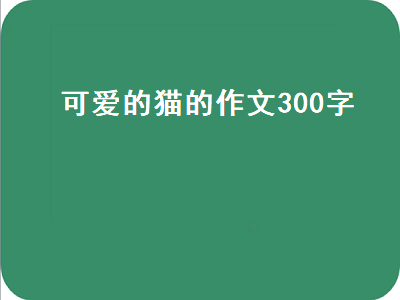 可爱的猫的作文300字（可爱的猫的作文300字怎么写）