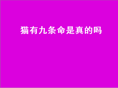 猫有九条命是真的吗（猫有九条命是真的吗为什么）