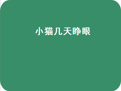 小猫几天睁眼（小猫几天睁眼睛自己能走）