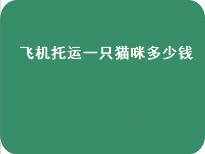 飞机托运一只猫咪多少钱（飞机托运一只猫咪多少钱啊）