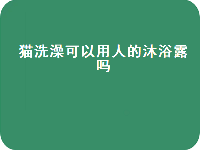 猫洗澡可以用人的沐浴露吗（猫洗澡可以用人的沐浴露吗）