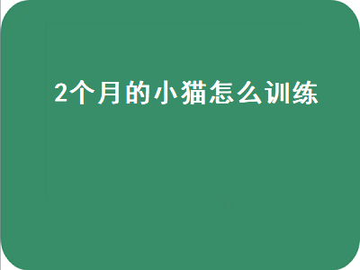 个月的小猫怎么训练（2个月的小猫怎么训练听话）"